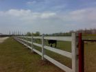 Rural fencing